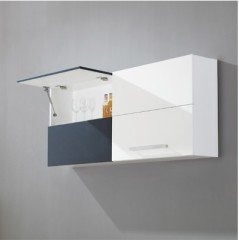 NOTUS PLUS Gazli piston, frenli,150N