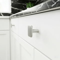 H2385 Düğme kulp paslanmaz çelik renkli