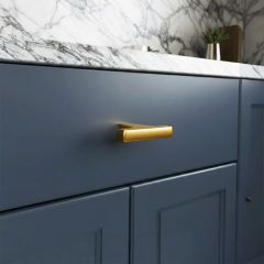 H2335 Düğme kulp mat altın